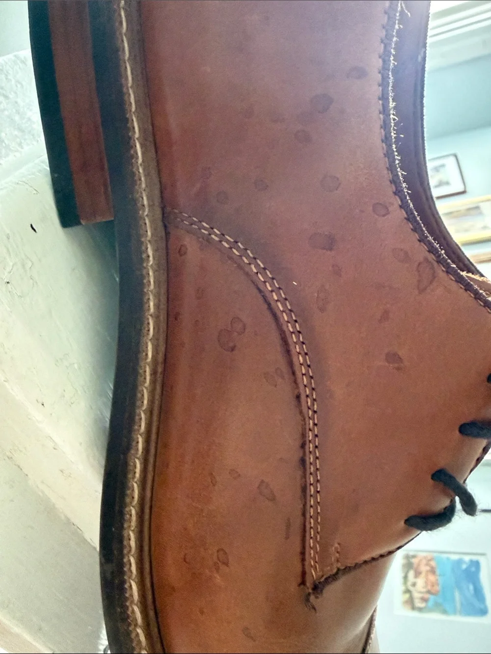 Vince Camino Men's Leather Derby Shoes in Brown